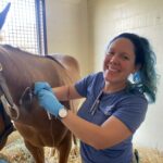 A woman is brushing the horse 's teeth