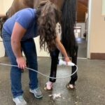 A woman is using an electric device to brush the horse 's teeth.