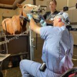 A surgeon is using an electric device to treat the horse.